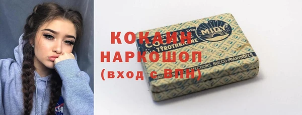 стаф Новокубанск