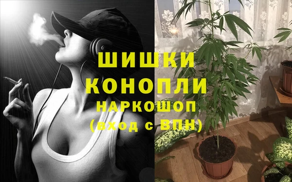 бошки Новозыбков