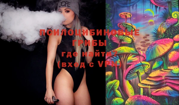 стаф Новокубанск