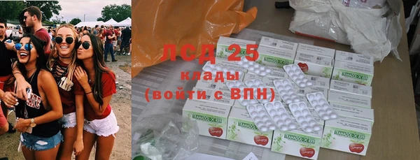 стаф Новокубанск