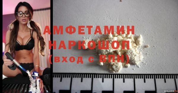 стаф Новокубанск